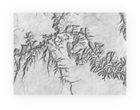 Stacks Image 7